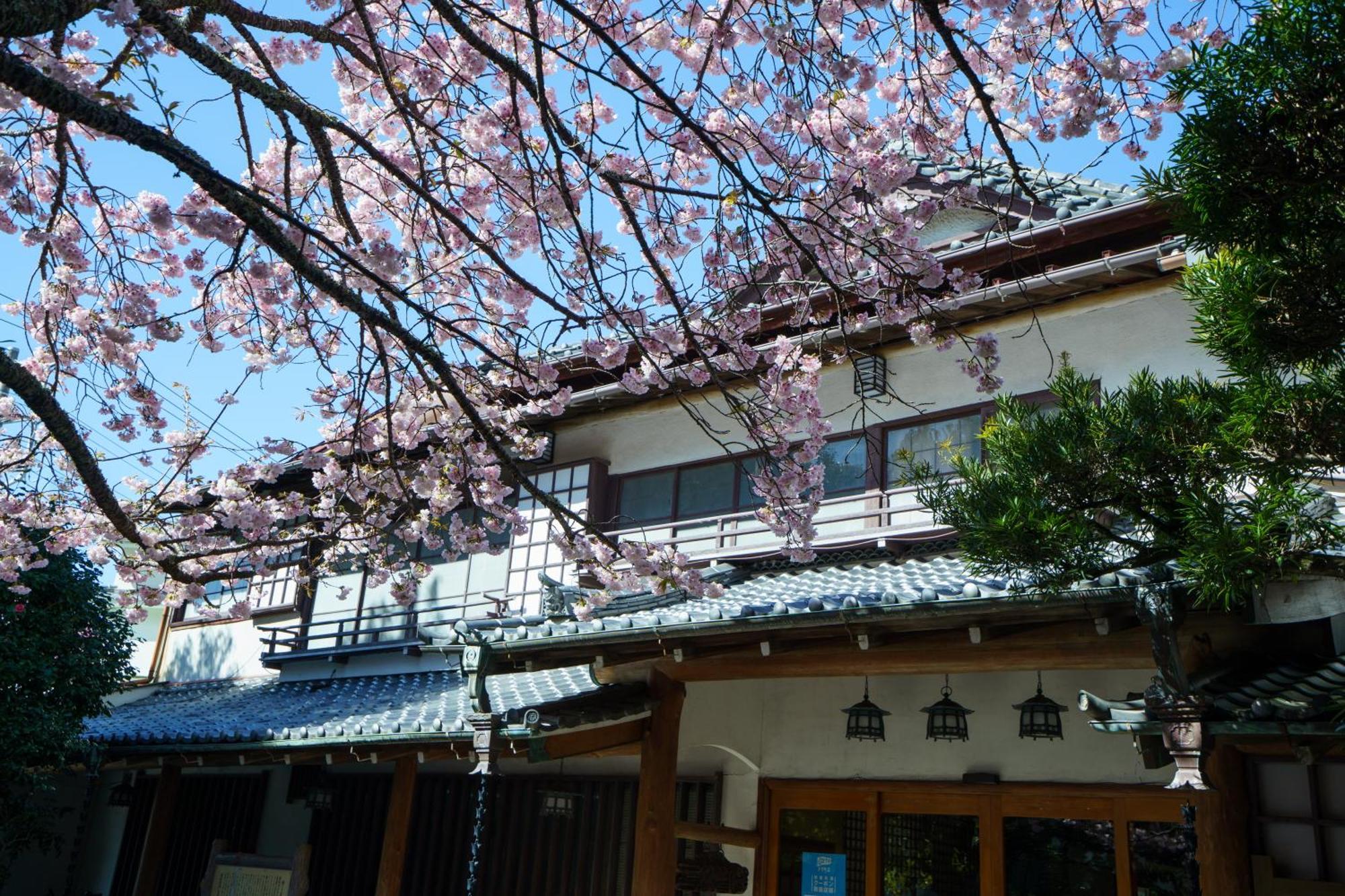 Sakahijiri Gyokushoen Izu  Extérieur photo